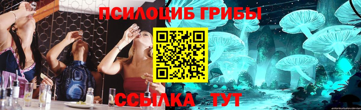 Галлюциногенные грибы MAGIC MUSHROOMS Вятские Поляны
