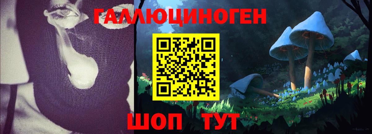 Вятские Поляны  Псилоцибиновые грибы мухоморы  Вход с VPN  купить  цена  Галлюциногенные грибы прущие грибы 